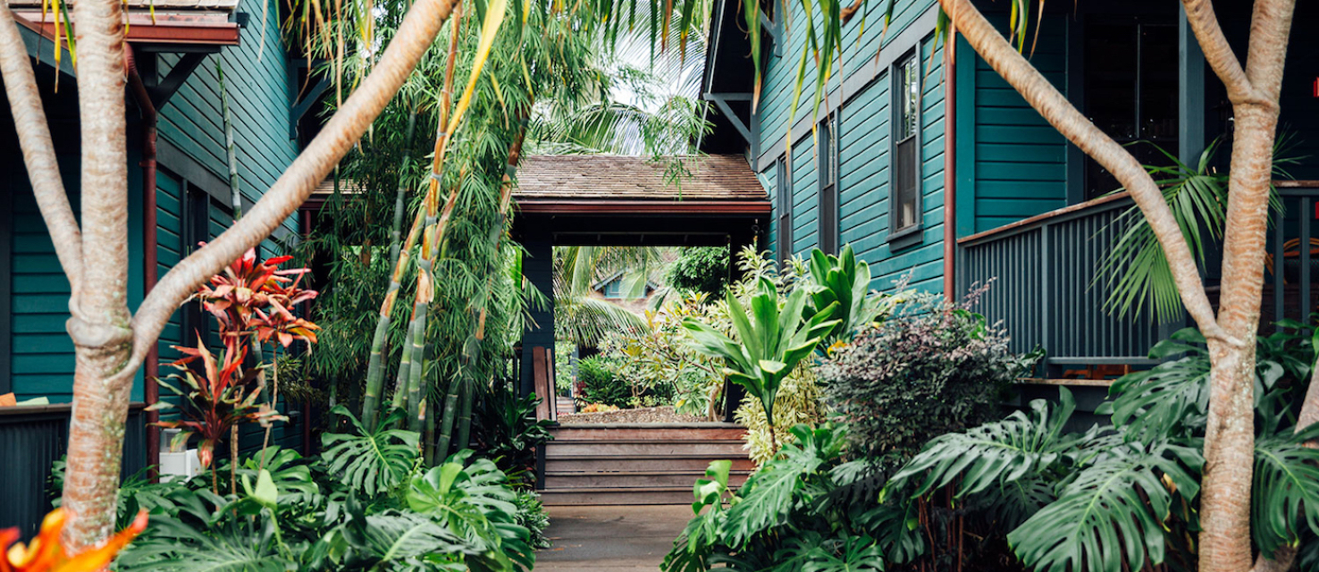 Power & Grace - Yoga in Maui