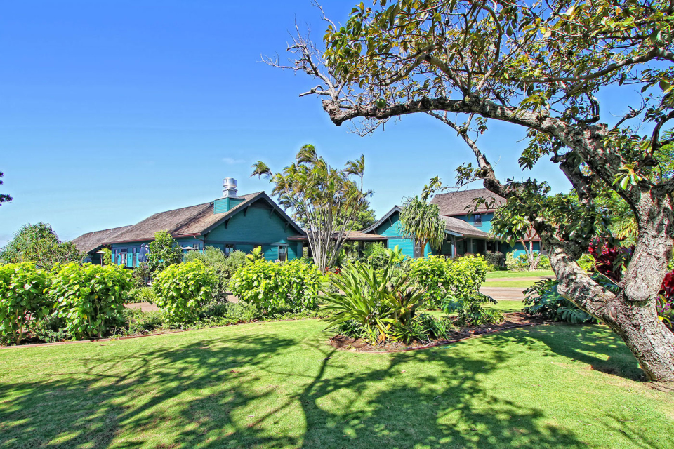 Power & Grace - Yoga in Maui