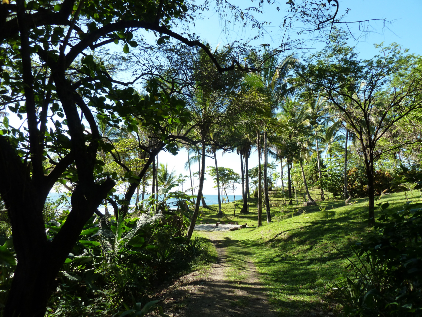 Begin Again: A Sacred Spring Renewal Retreat