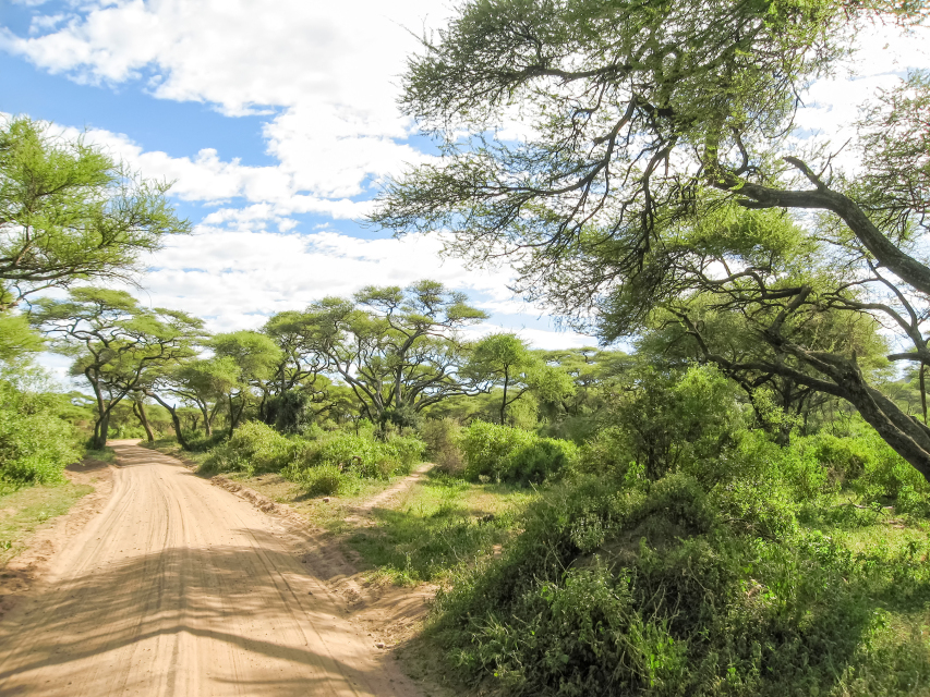 Tanzania, Africa, Africa