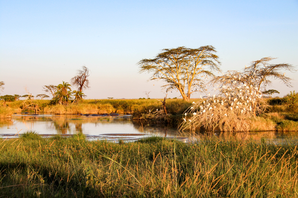 Tanzania, Africa, Africa