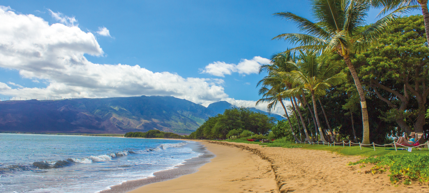 Hello From the Other Side by Sarah Ezrin