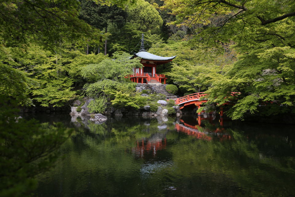 Tea, Taiko, Trikonasana and Tempura: A Journey Through Japan