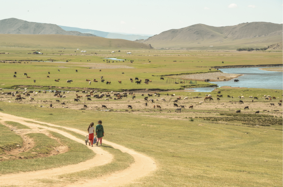 Magical Mongolia