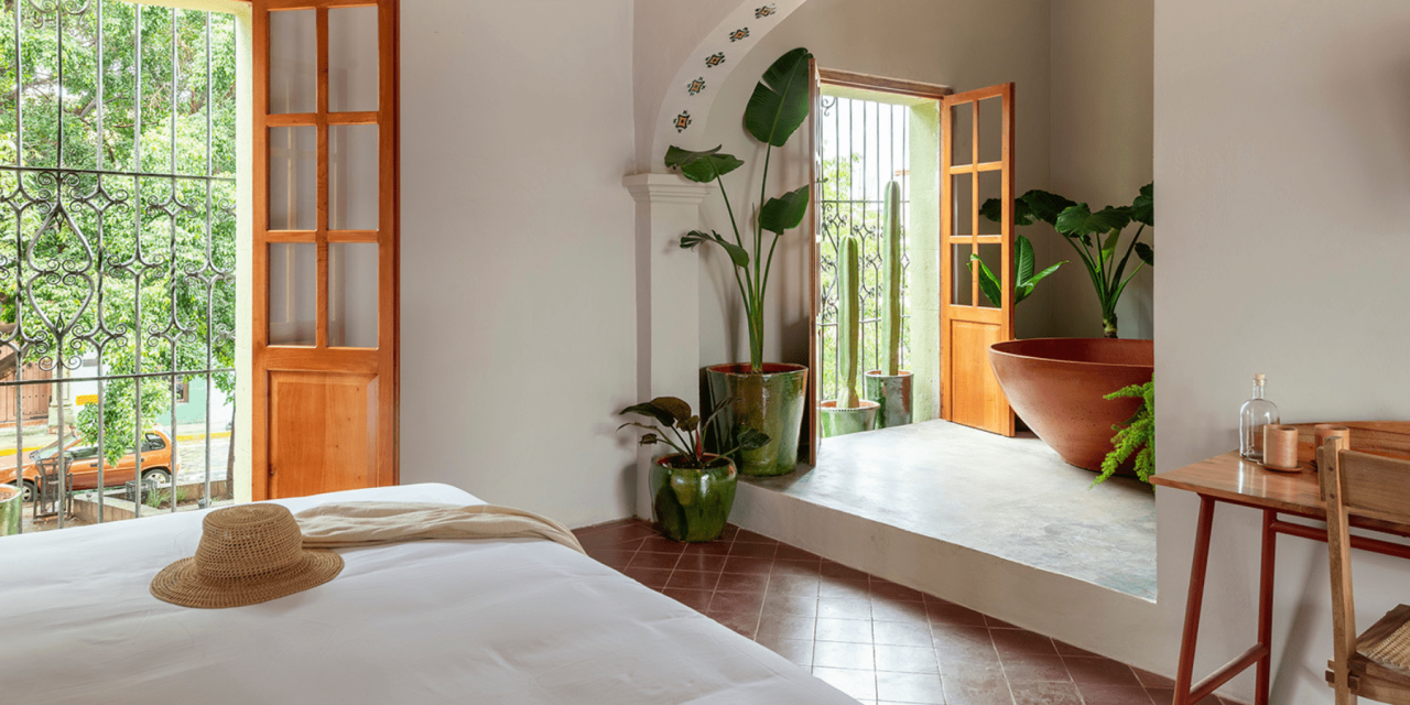 Yoga & Culture Journey to Oaxaca