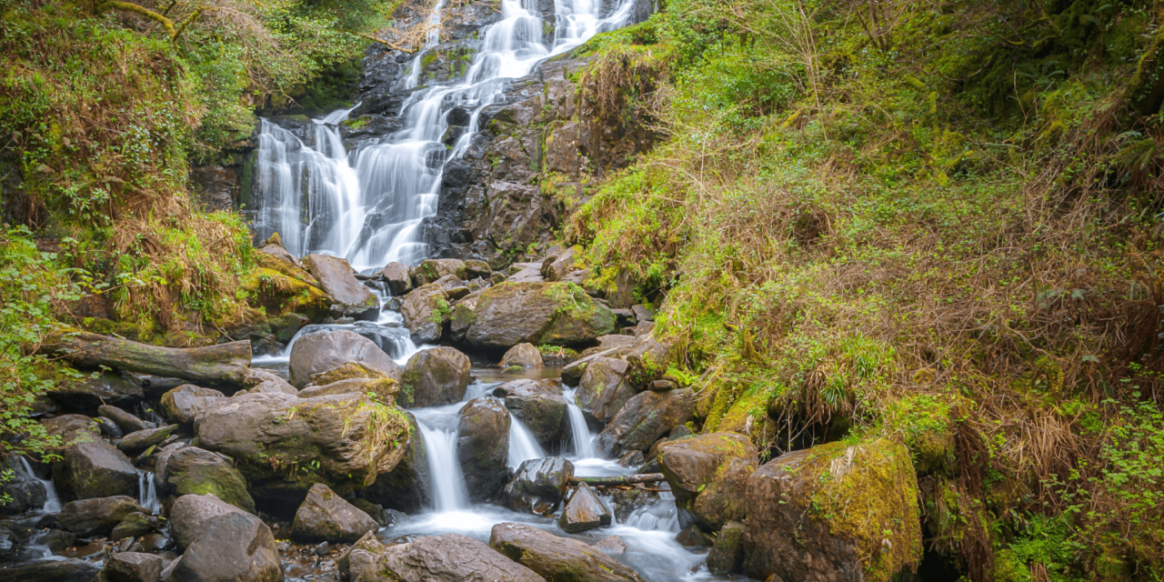 Celtic Flow: Weaving Yoga, Story + Stillness