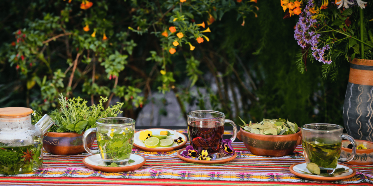 Journey to Sacred Heights: Yoga and Culture in Peru