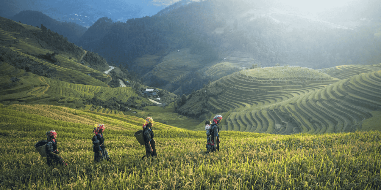 Be Well in Bali: A Joyful Jungle Retreat