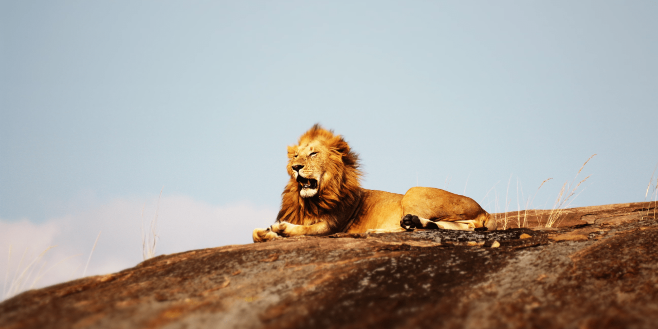 Beneath African Skies: Yoga Retreat in Tanzania