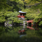 The Soul of Japan: Spirit + Nature