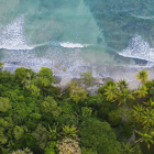 Deep Renewal in Paradise