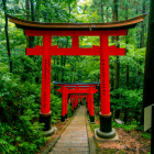 Tea, Taiko, Trikonasana and Tempura: A Journey Through Japan