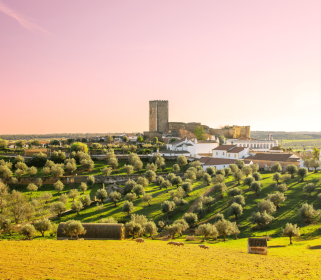 Presence in Portugal: A Joyful Yoga Retreat