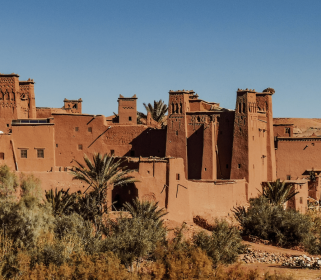 The Art of Opening to What is Possible