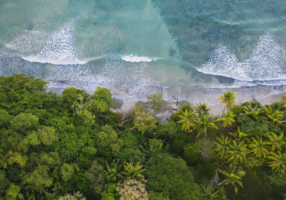 Deep Renewal in Paradise