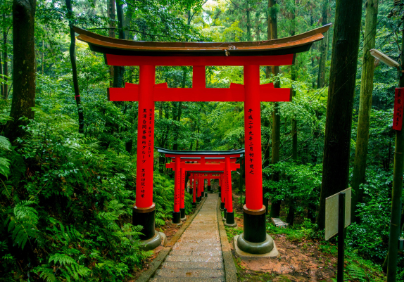 Tea, Taiko, Trikonasana and Tempura: A Journey Through Japan