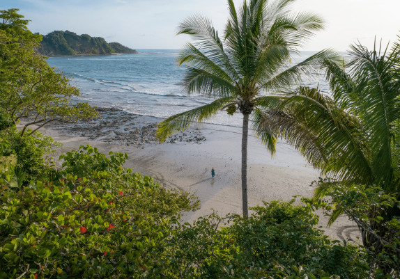 Spring Revival Retreat: A Joyful & Complete Rejuvenation of the Body, Mind, and Spirit!