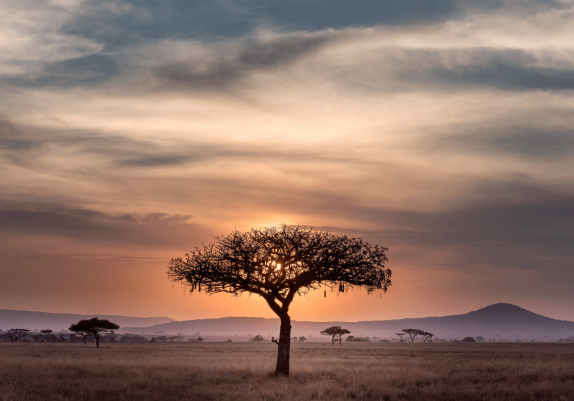 Beneath African Skies: Yoga Retreat in Tanzania